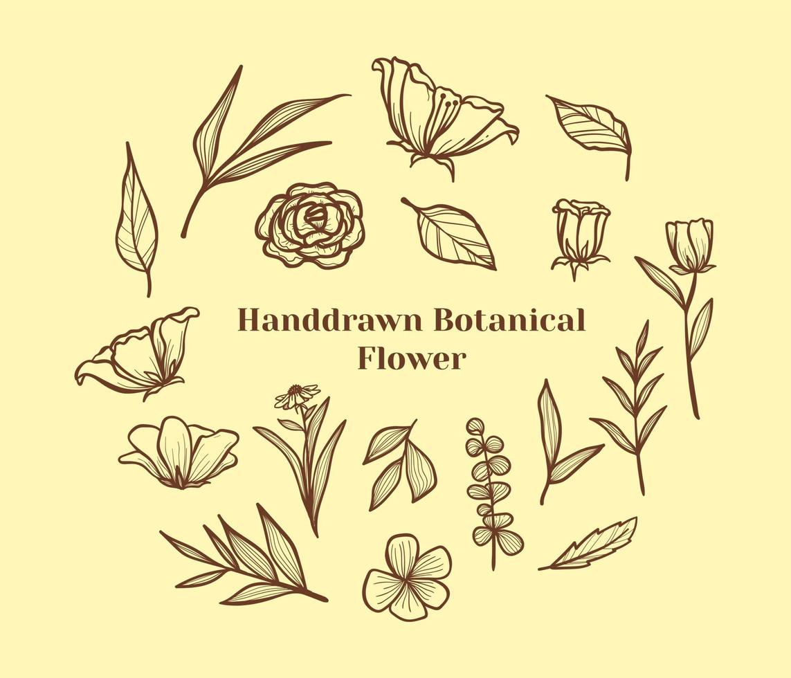conjunto de doodle de flores, folhas e ramos botânicos desenhados à mão. ilustração floral botânica vintage. vetor