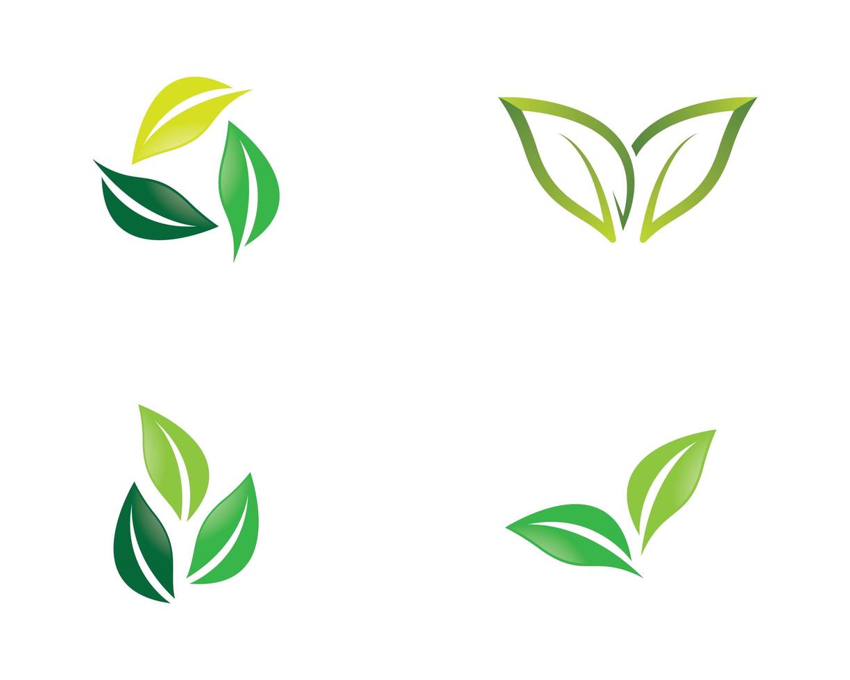 conjunto de logotipo de ecologia vetor