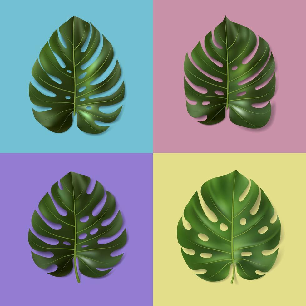 conjunto de folhas de monstera verdes diferentes isoladas em fundo colorido. ilustração em vetor 3D. folha tropical realista. modelo botânico para interior, decoração, banner, anúncio, papel de parede, cartão.