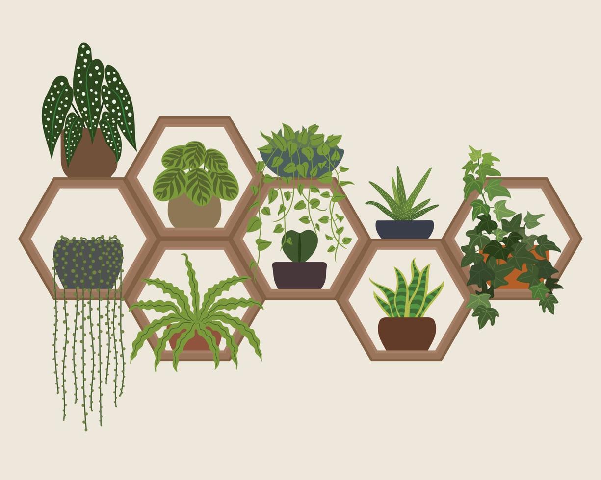 decoração de plantas de prateleiras de parede hexágono vetor