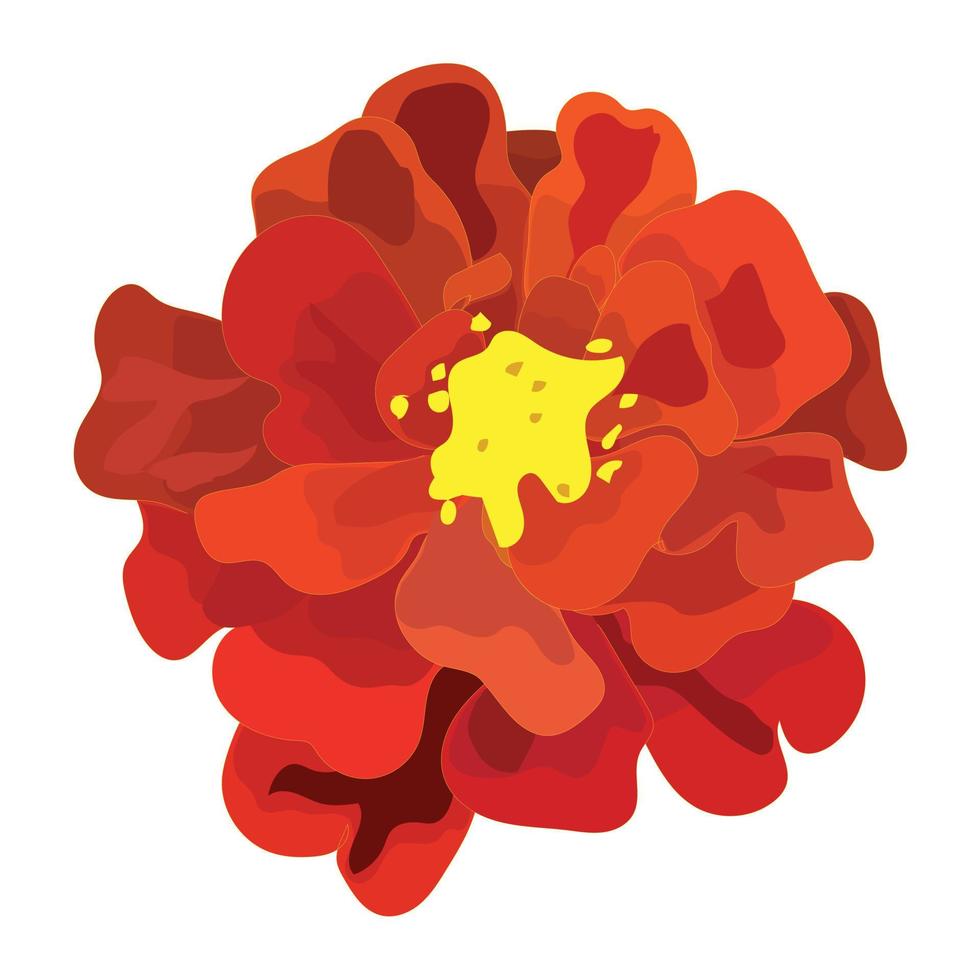 calêndula laranja, flor, símbolo do feriado mexicano dos mortos. ilustração em vetor estoque isolado no fundo branco.