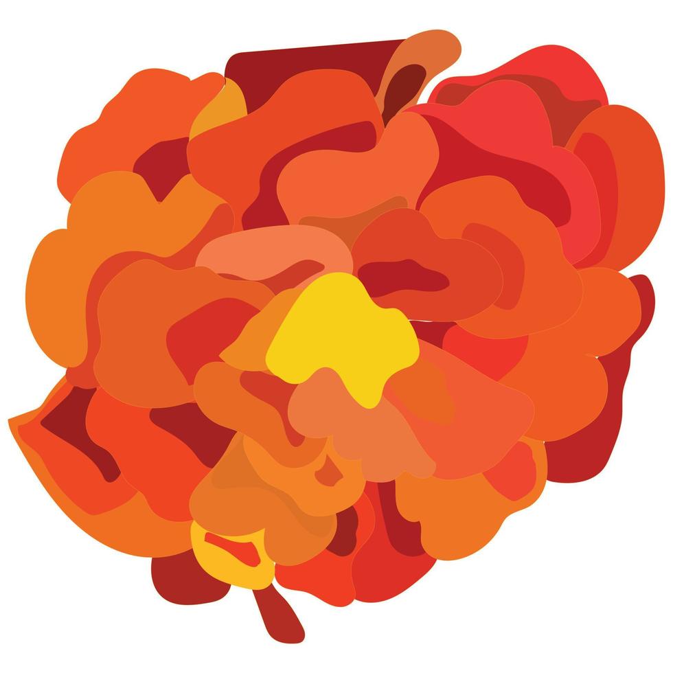 calêndula laranja, flor, símbolo do feriado mexicano dos mortos. ilustração em vetor estoque isolado no fundo branco.