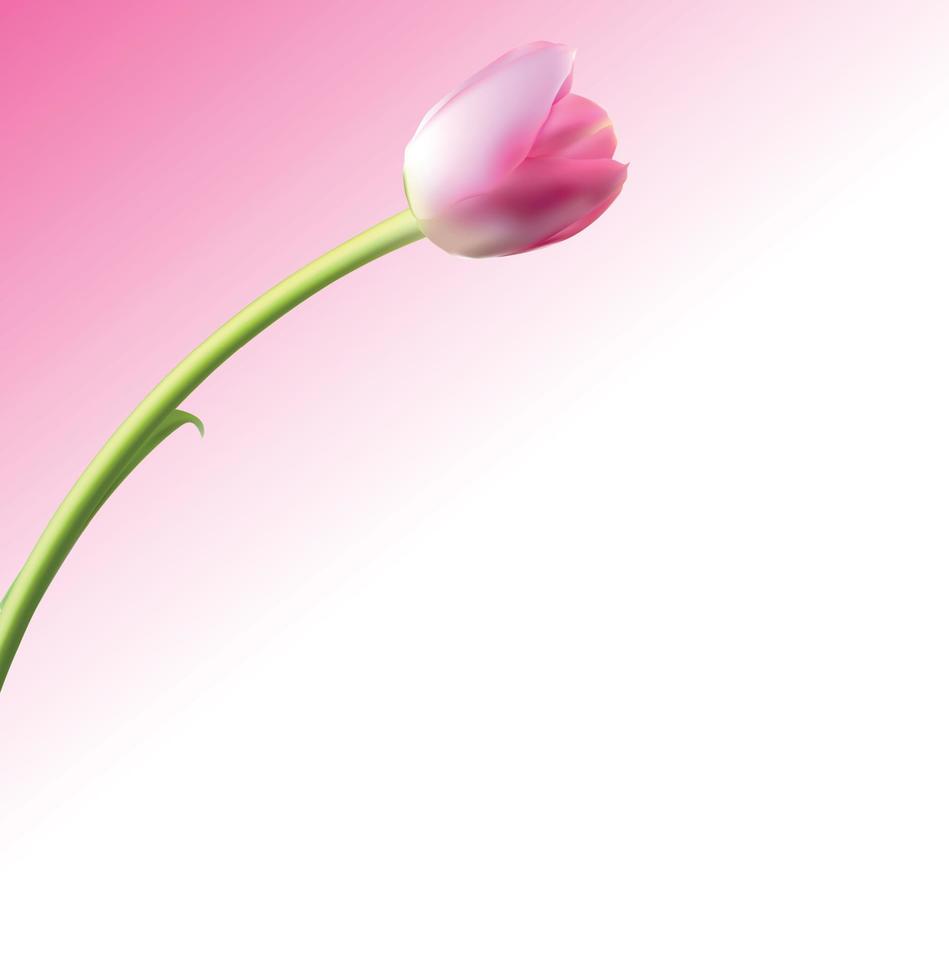 linda ilustração em vetor fundo de tulipa realista rosa