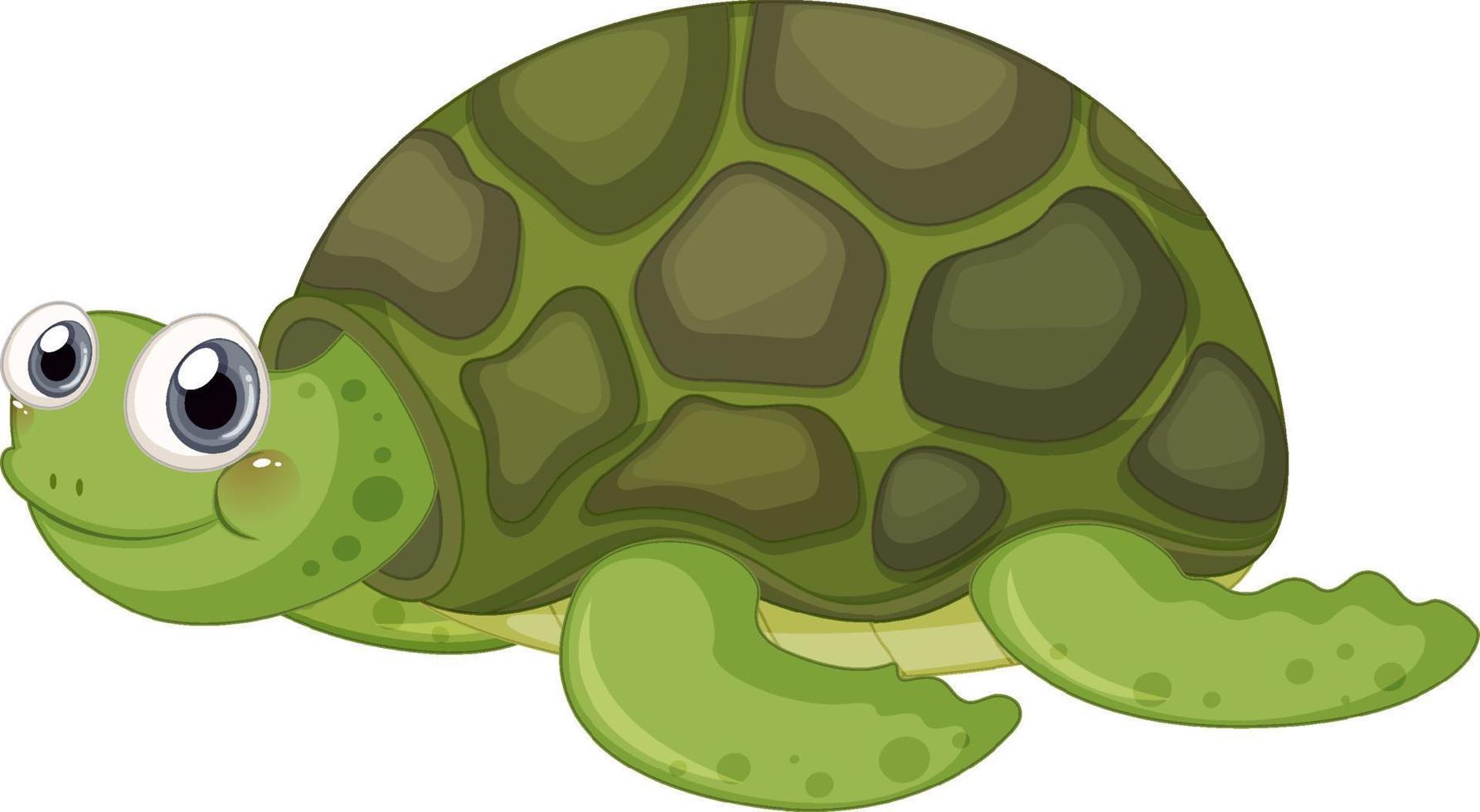 personagem de desenho animado de tartaruga fofa em fundo branco vetor