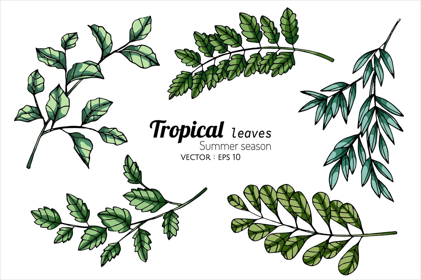 folha tropical definida em diferentes tons de verde vetor