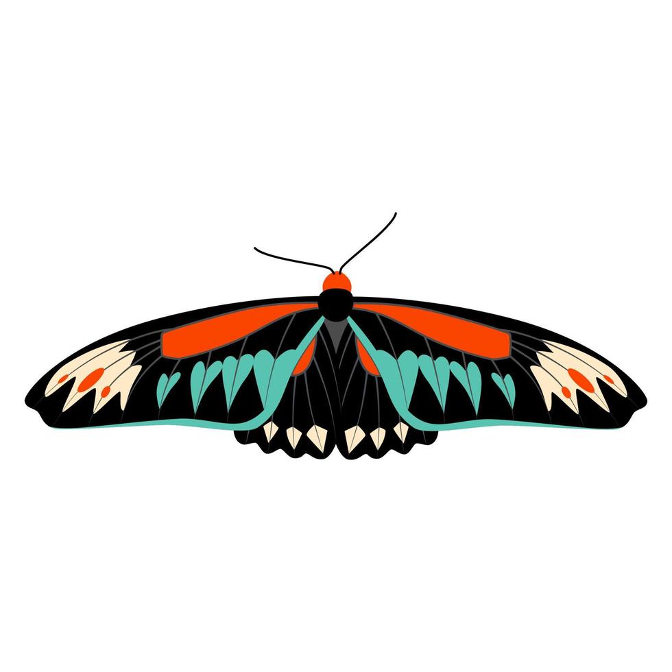 borboleta ilustração vetorial clipart. borboleta bonita isolada. vetor