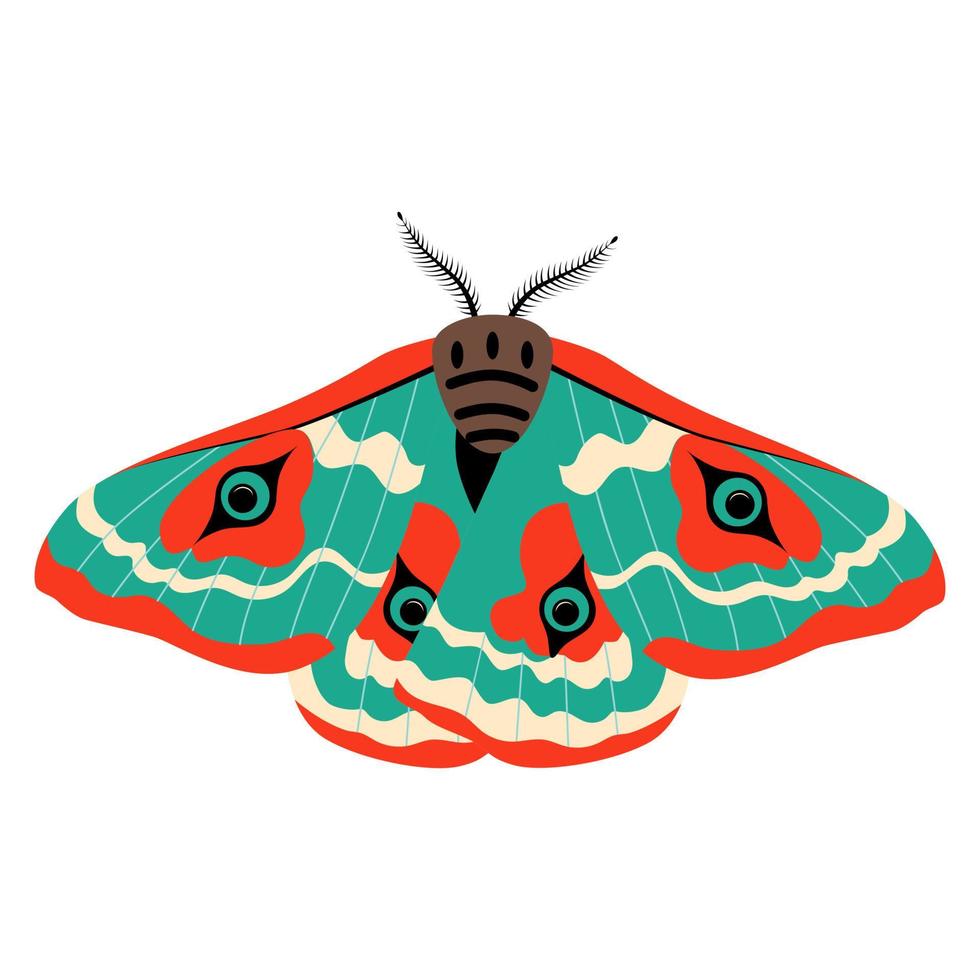 borboleta ilustração vetorial clipart. borboleta bonita isolada. vetor