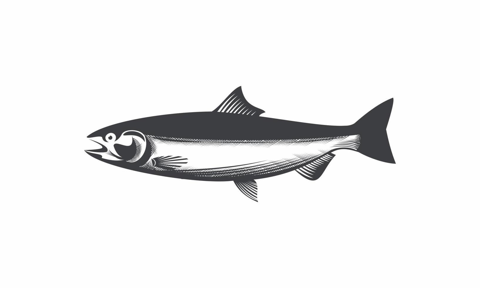 ilustração de peixe salmão vetor