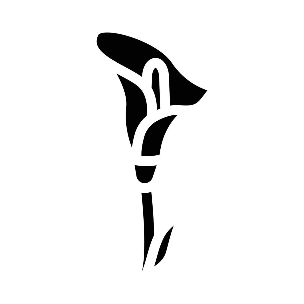 ilustração vetorial de ícone de glifo de flor calla vetor
