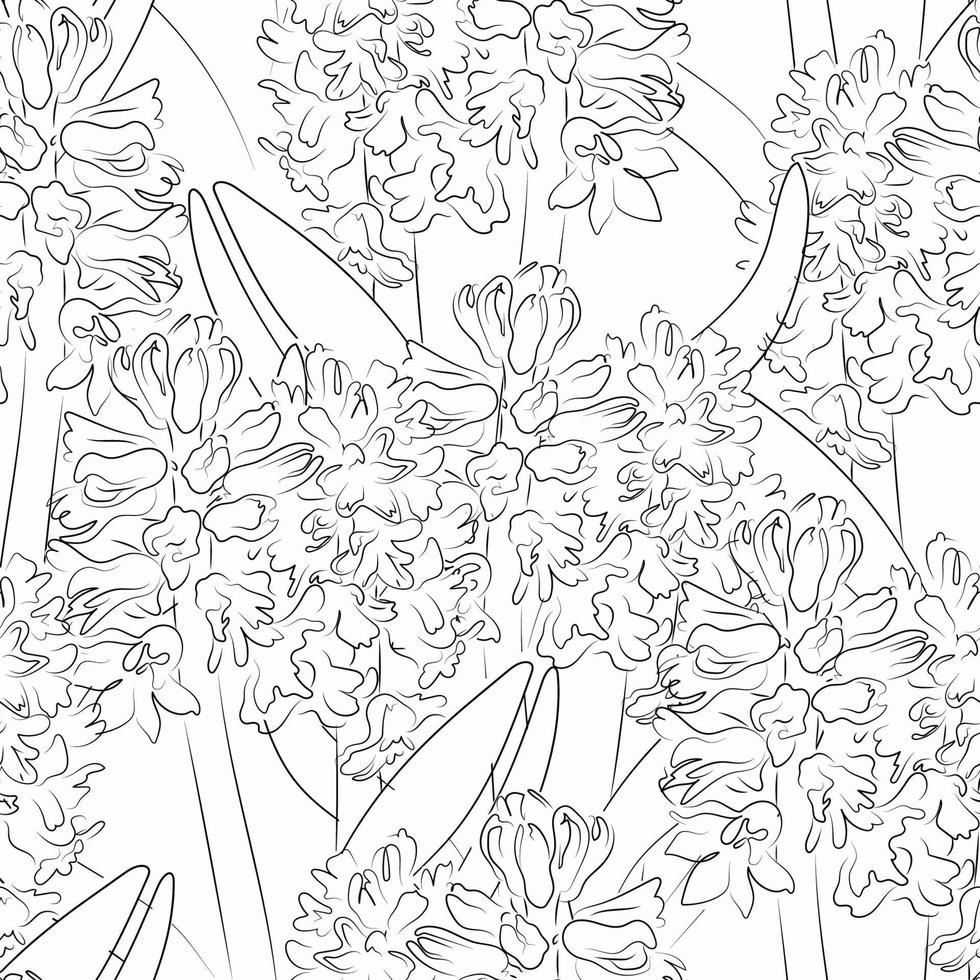 padrão vetorial sem costura com flores de jacinto desenhadas à mão vetor