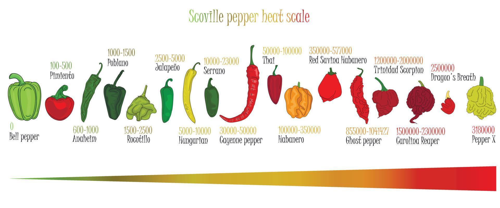 escala de calor de pimenta scoville. ilustração de pimenta de mais doce a muito quente na cor de fundo. vetor