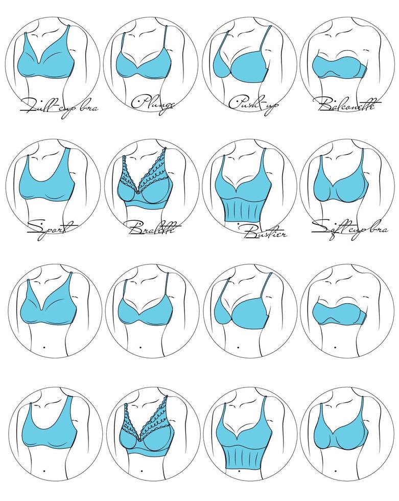 ilustração do design e variedade de sutiãs femininos em um círculo. modelos de lingerie desenhados à mão. brasseries são classificadas em vários estilos com base em critérios. vetor