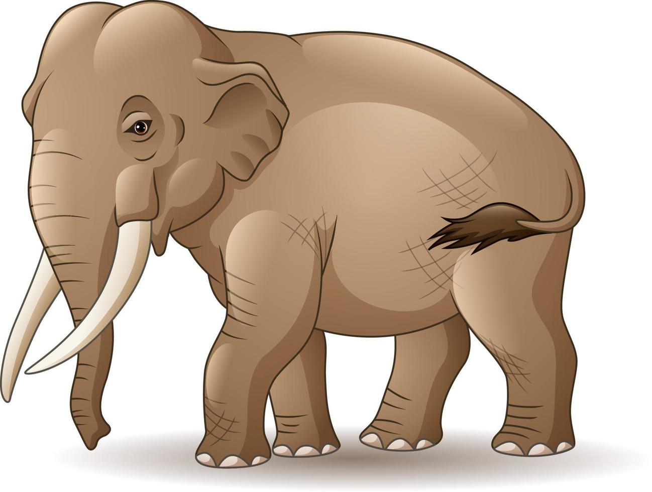 elefante asiático de desenho animado vetor