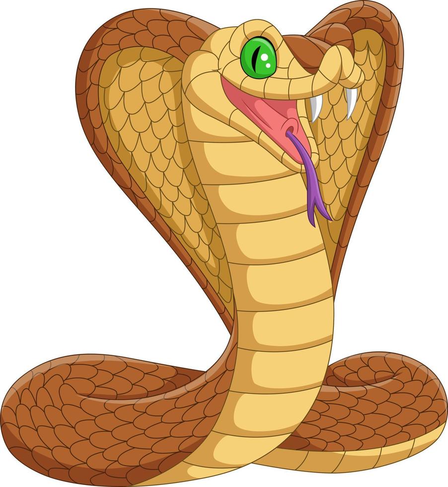 cobra rei cobra dos desenhos animados no fundo branco vetor