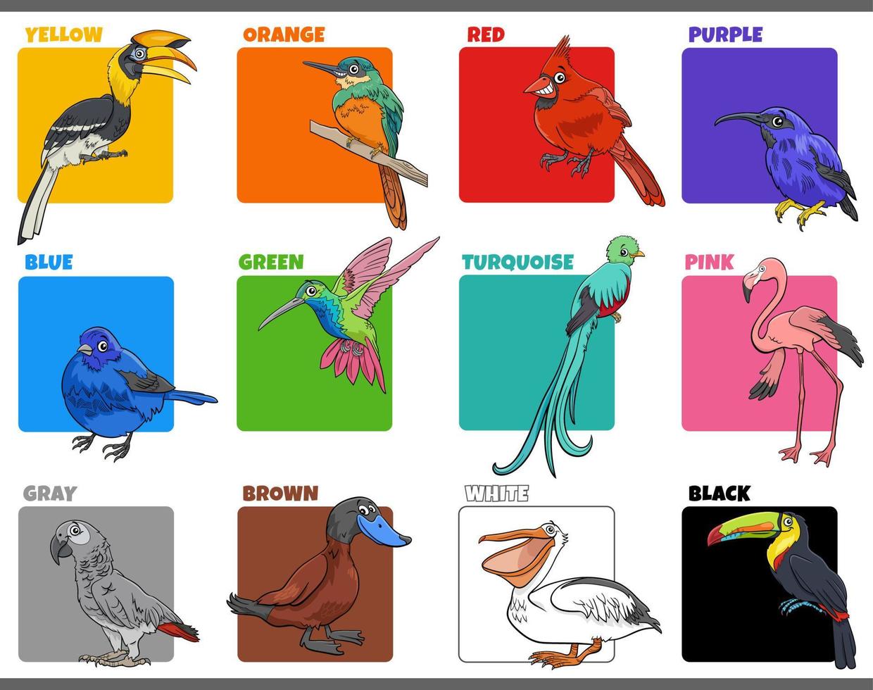 conjunto de cores básicas com personagens de animais de pássaros de desenho animado vetor