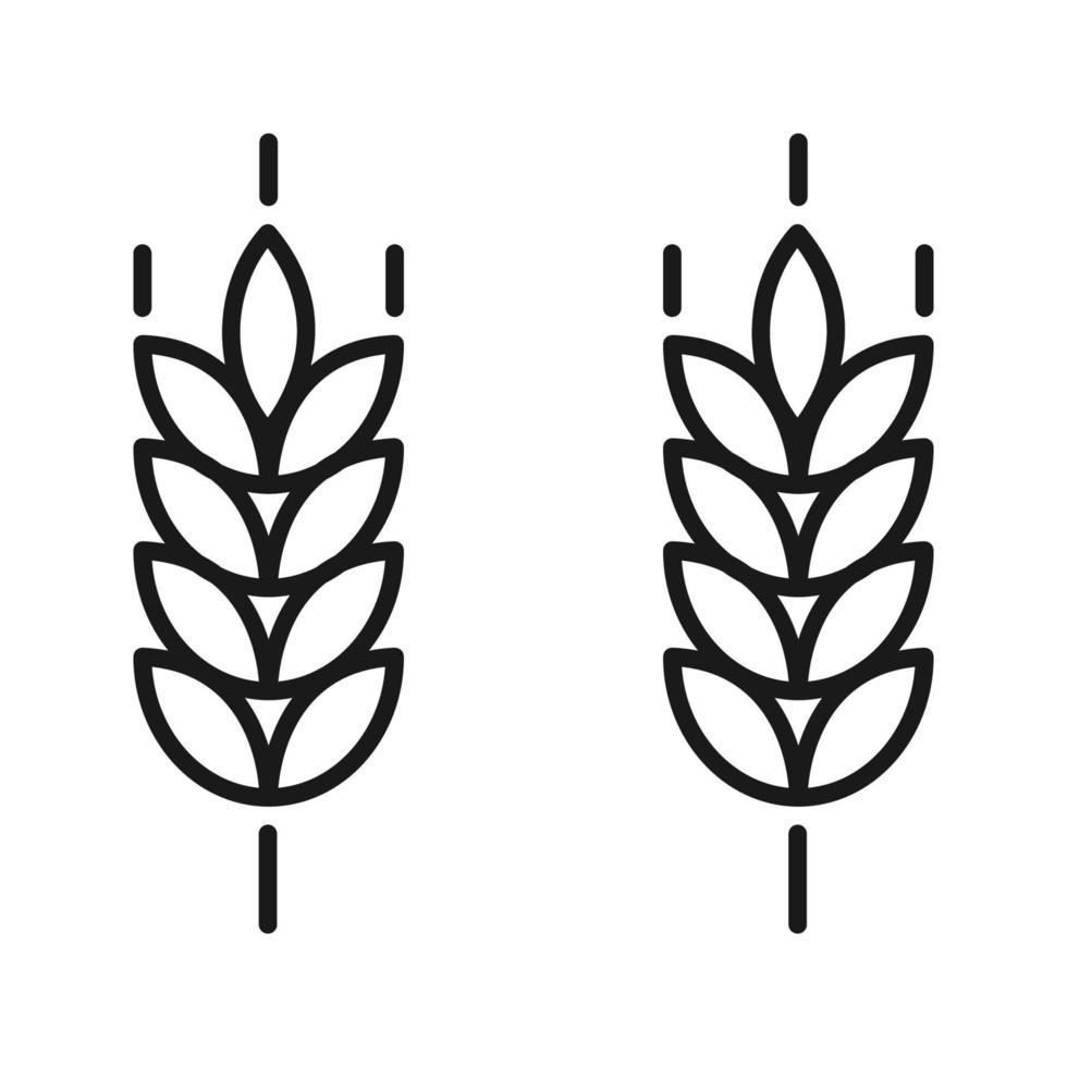 modelo de vetor de ícone de orelhas de trigo de fazenda. para negócios de eco orgânico, agricultura, padaria, design de logotipo. cor editável