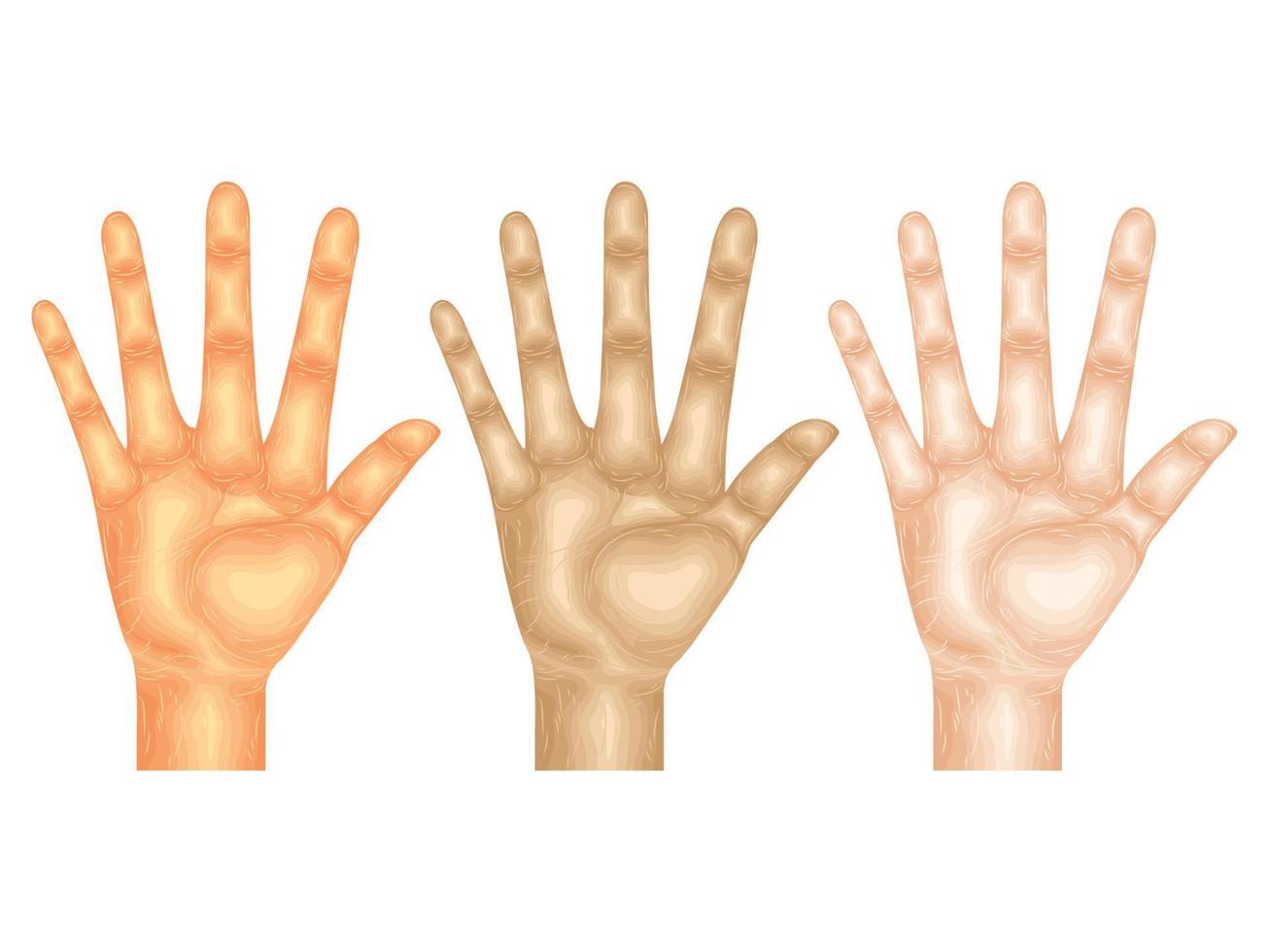 gesto linguagem mão vetor corpo braço placa dedo parte modelo anatomia coleção pele humano ideia para cima