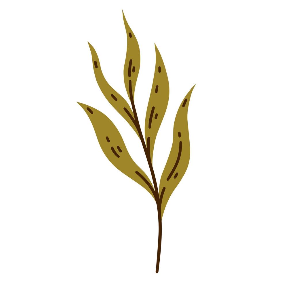 ramo com ícone de vetor de folhas verdes. planta de campo desenhada à mão isolada no fundo branco. galho de uma árvore da floresta, doodle de desenho animado plano. esboço botânico simples. ilustração de erva do prado