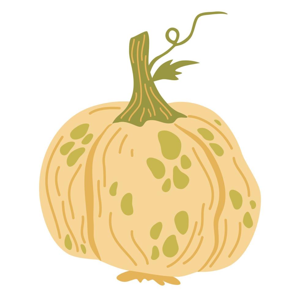 abóbora. alimentos vegetais. outono, outono, ação de graças e decoração de halloween. mão desenhar ilustração vetorial dos desenhos animados isolada no fundo branco. vetor