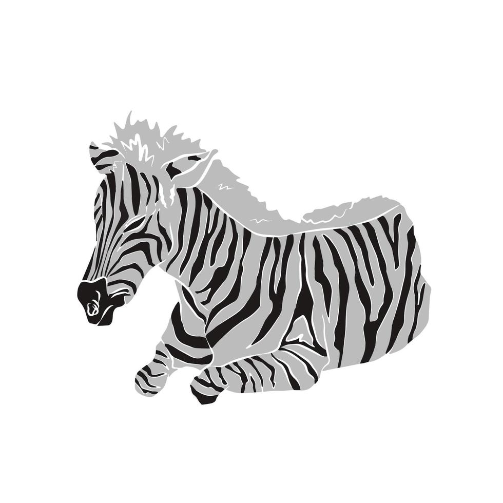 linda imagem de zebra vetor