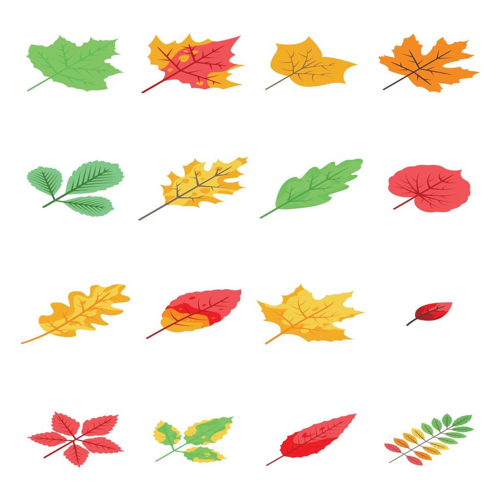 conjunto de ícones de folhas de outono, estilo isométrico vetor