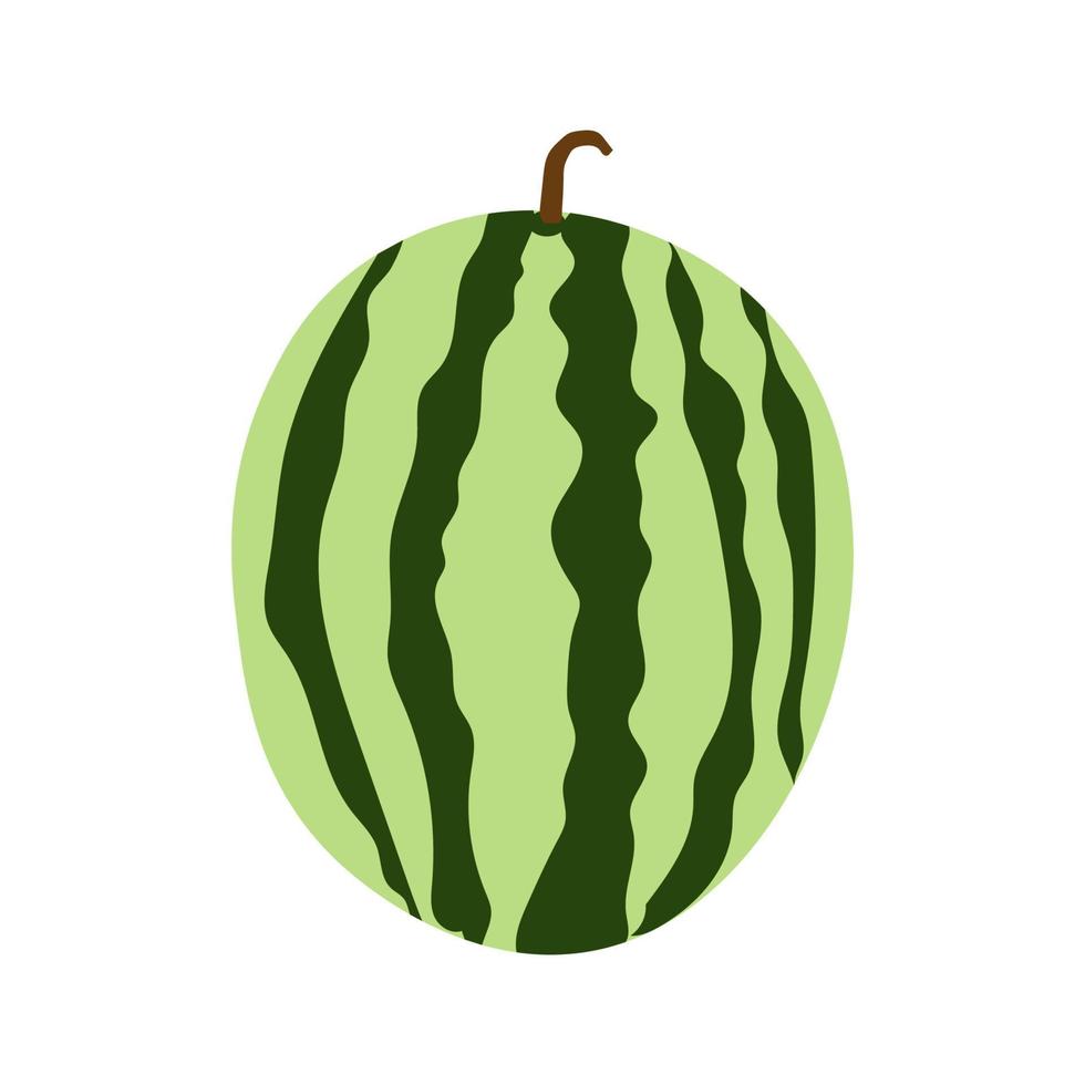 ilustração em vetor de uma melancia de verão toda suculenta.