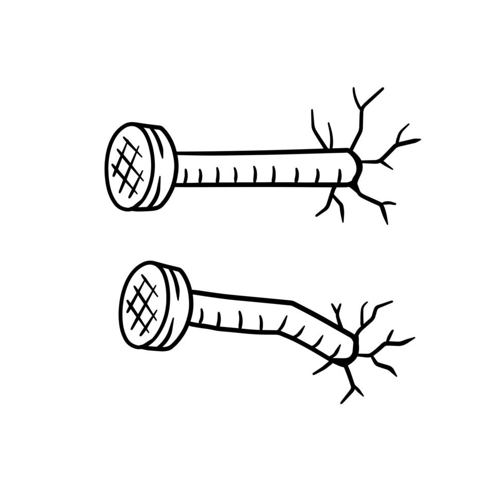unha. pino cravado na parede. vetor