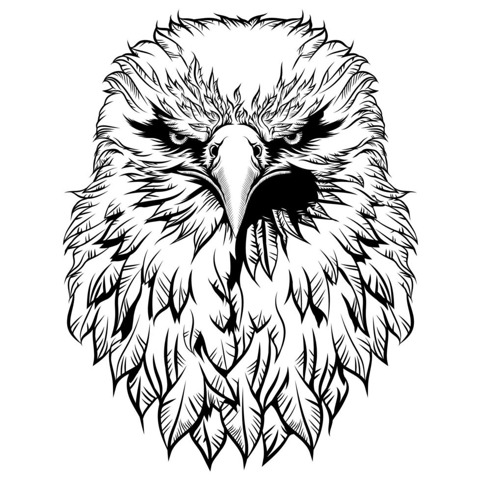 design gráfico de rosto de águia vetor
