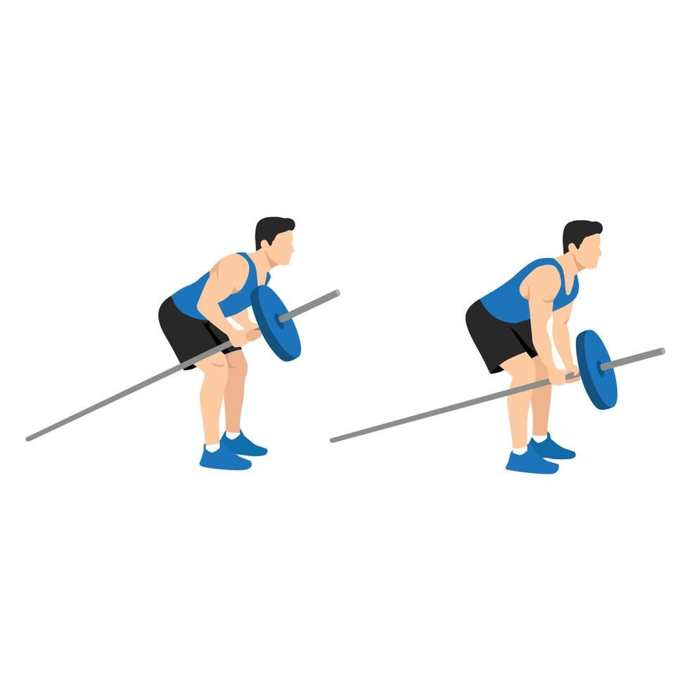 homem fazendo curvado sobre t bar row. treino de corpo superior. exercícios da parte superior do corpo. ilustração vetorial plana isolada no fundo branco vetor