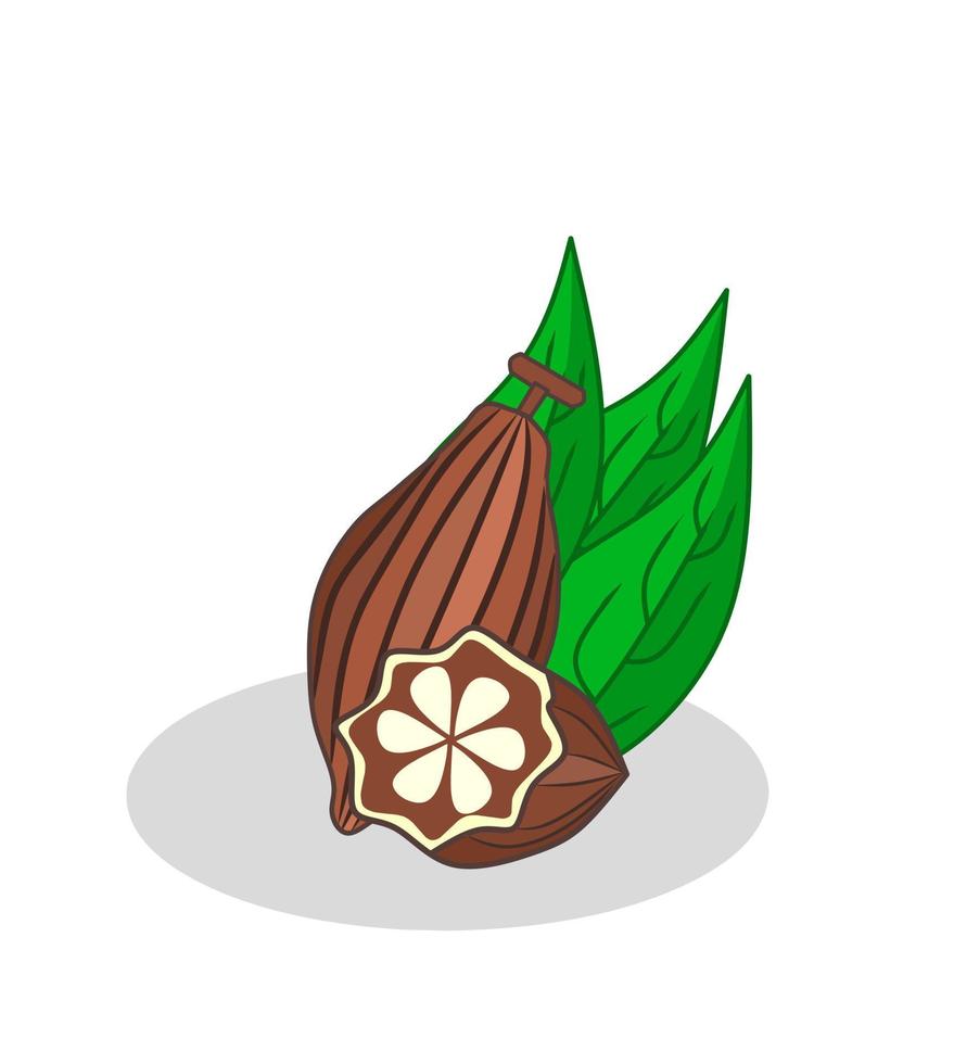 imagem de ilustração de frutas de chocolate .ícone de frutas de chocolate.fruits vetor