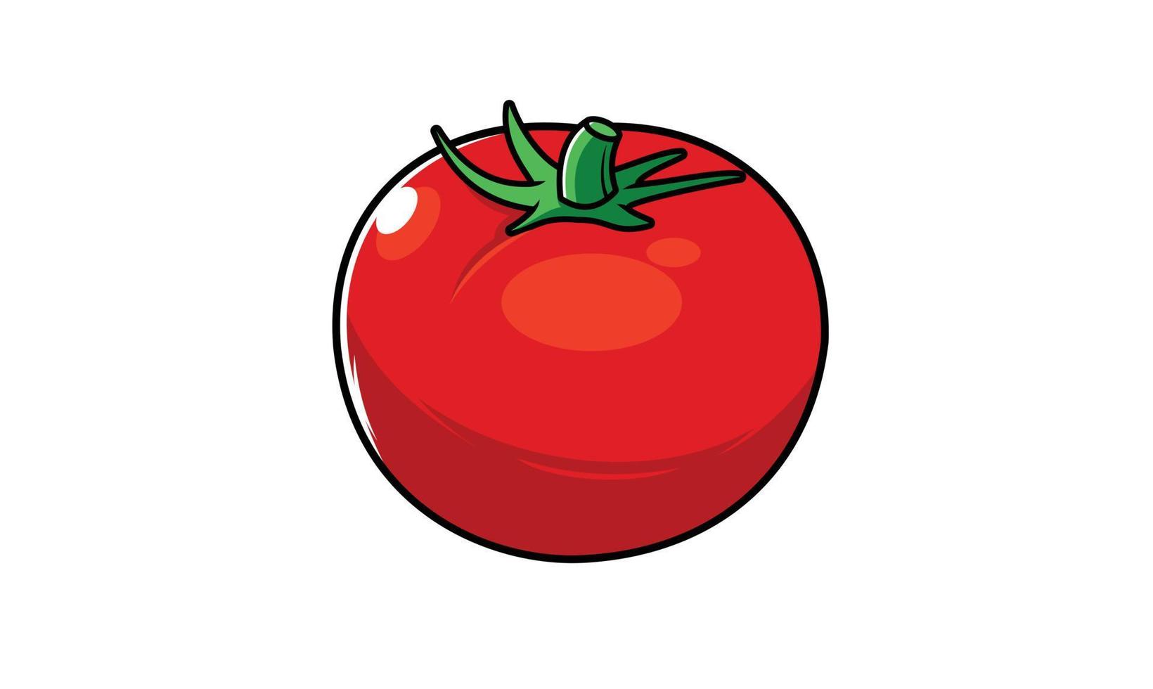 design de ilustração vetorial de tomate vegetal vetor