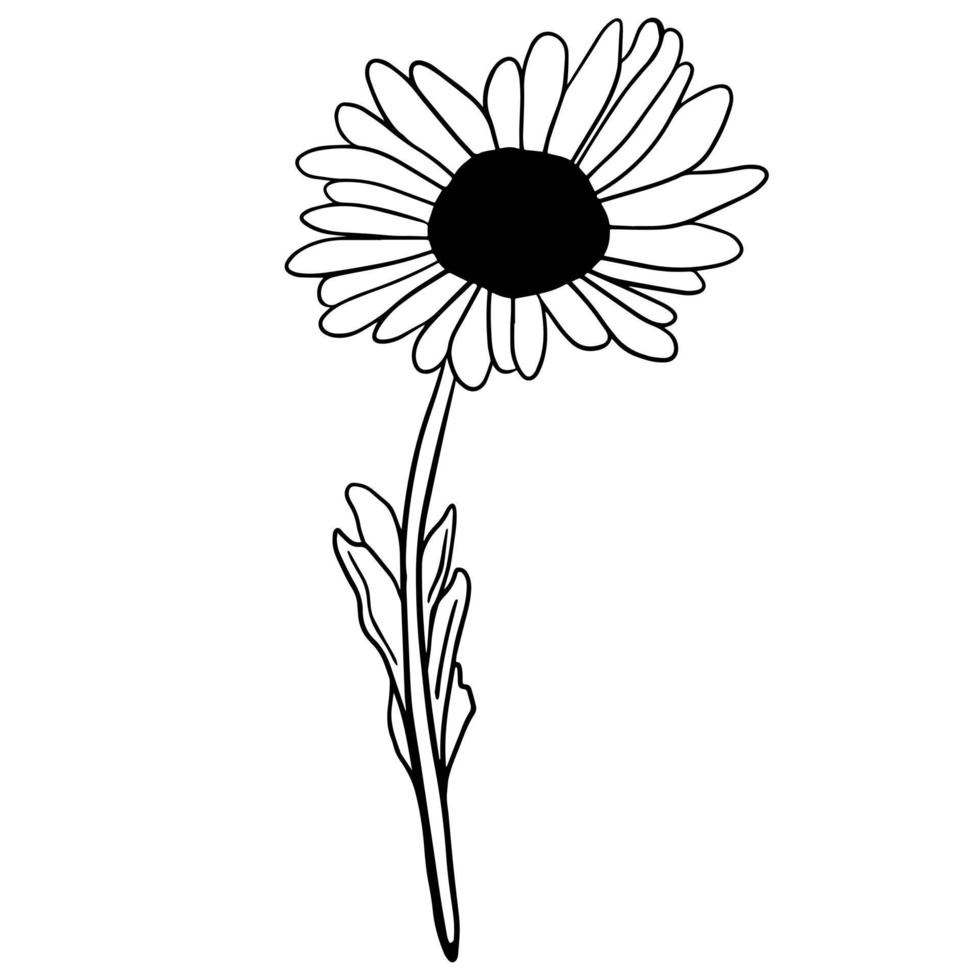 doodle preto de uma flor. ilustração de flores de primavera desenhadas à mão vetor