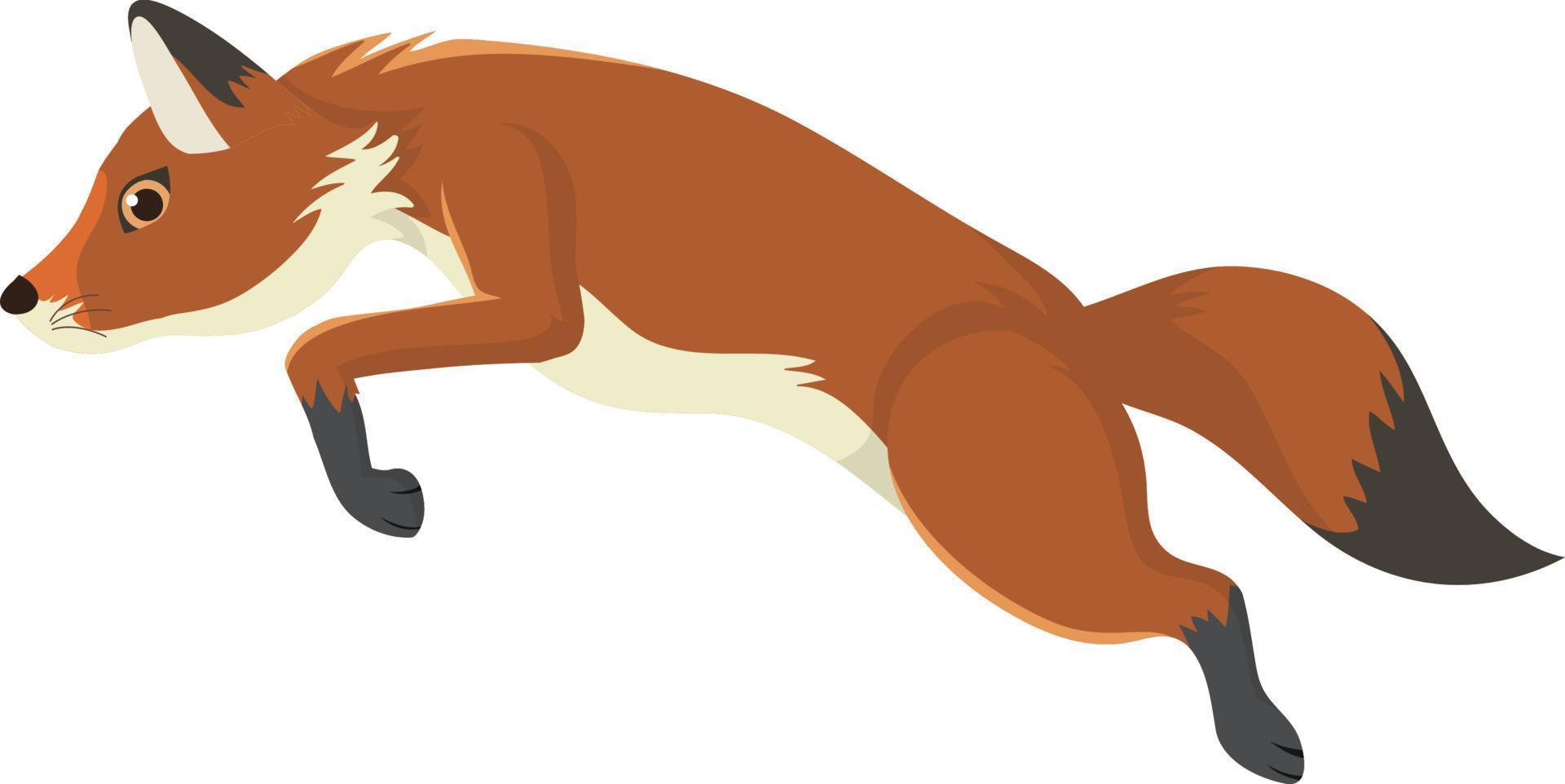 uma raposa pulando isolada vetor