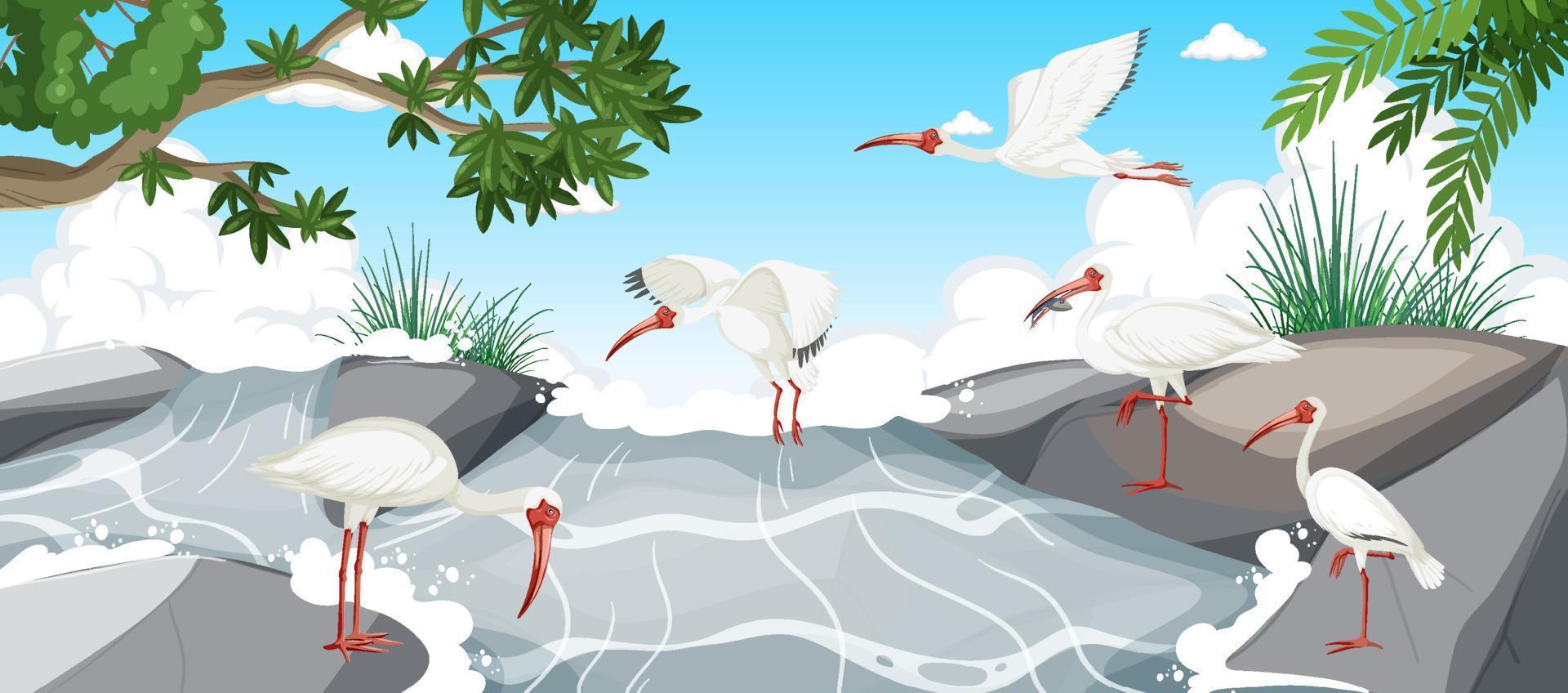 grupo ibis branco americano na floresta vetor