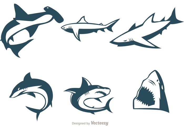 Coleção de vetores de tubarão