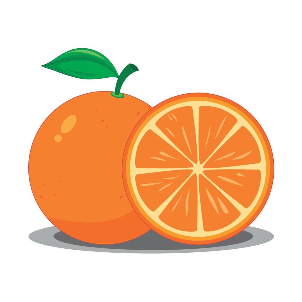 ilustração de fruta laranja em fundo branco vetor