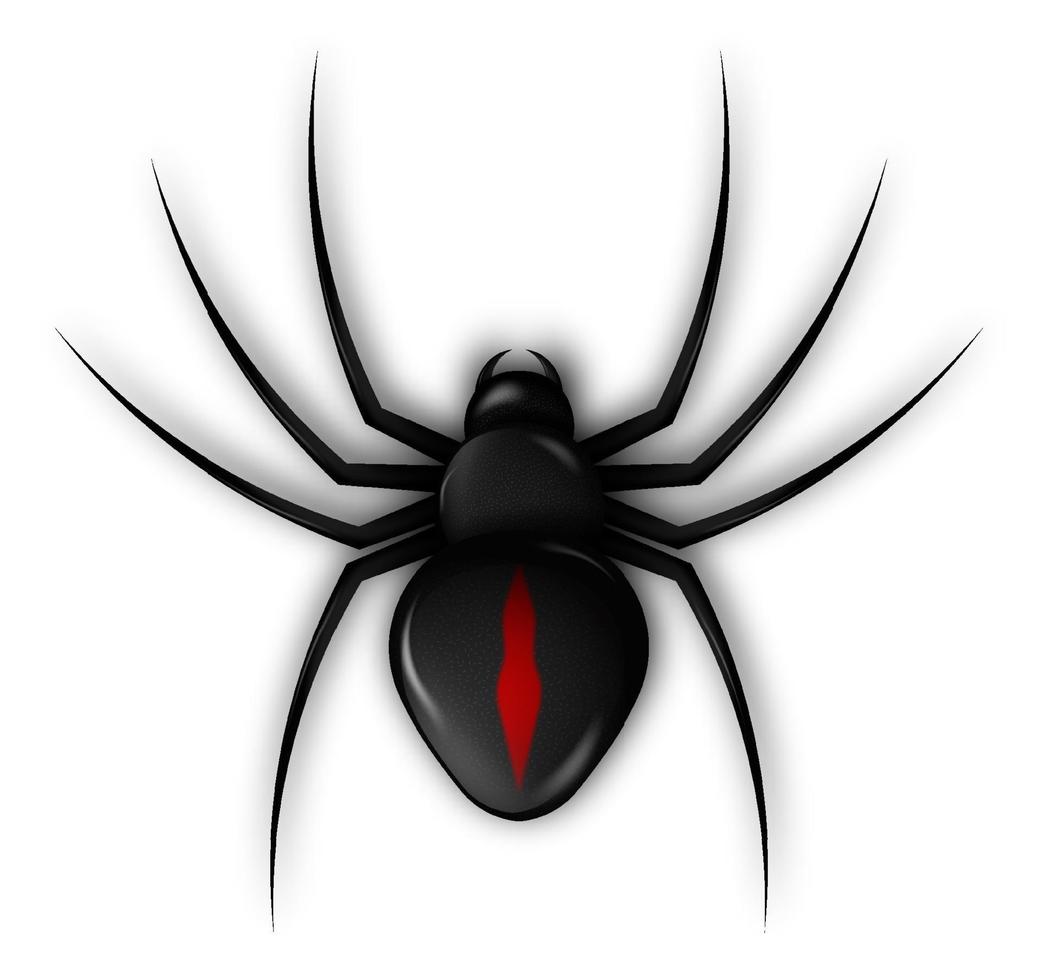 ícone de aranha para decoração de banner web de halloween. insetos venenosos perigosos. portadores de doenças. caçador implacável. vetor realista