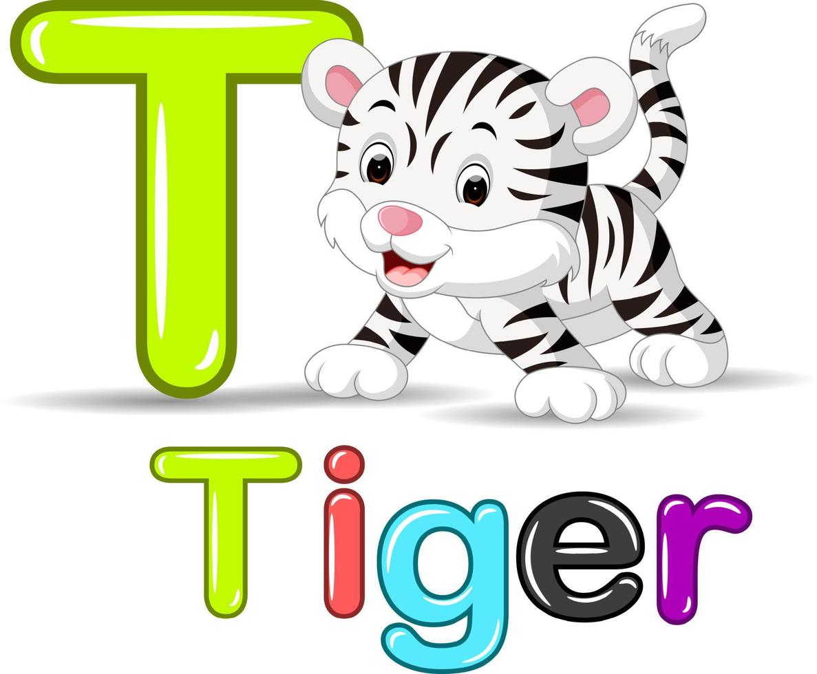 lindo bebê tigre branco vetor