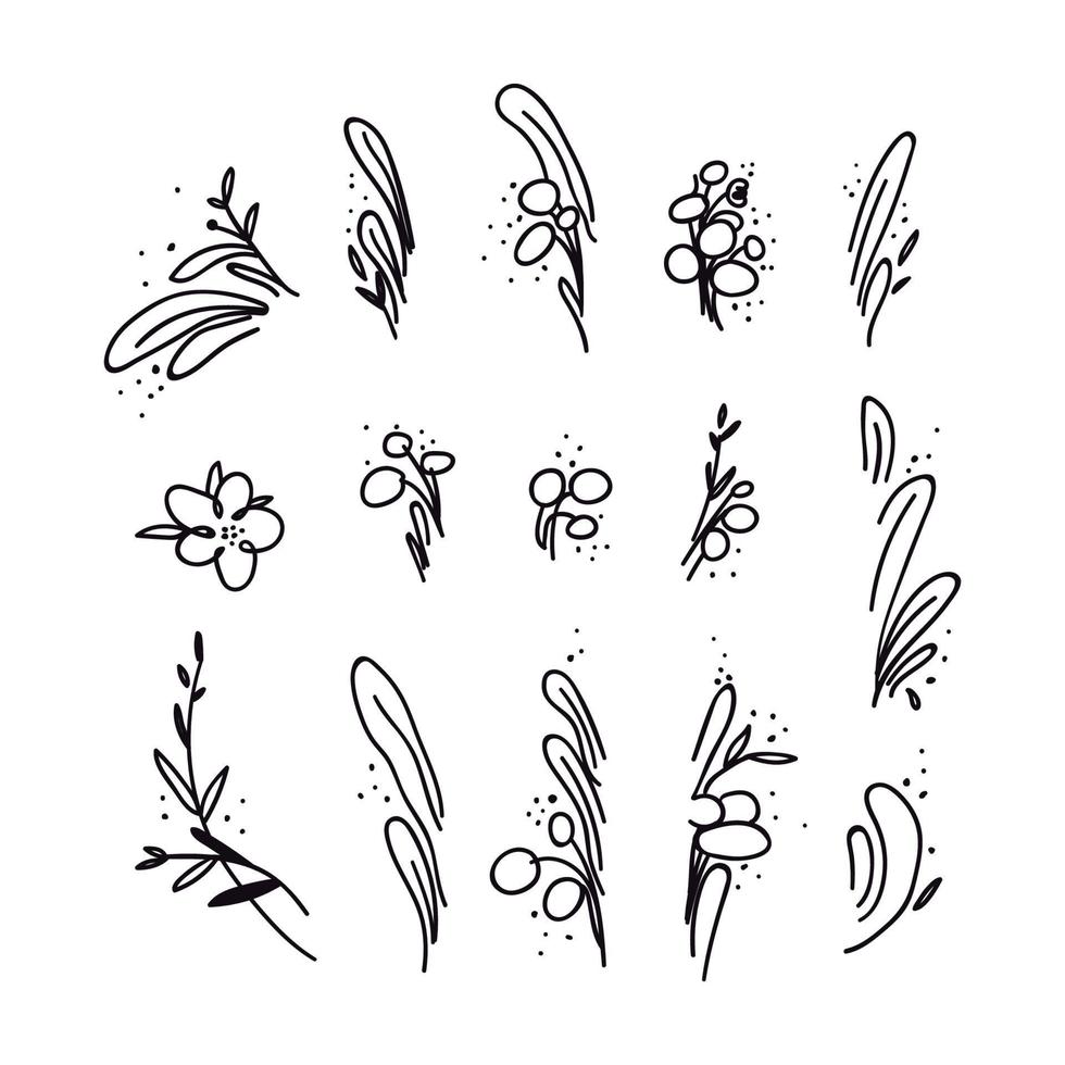 folhas e galhos abstratos do doodle. elementos de plantas naturais desenhados à mão. ilustração em vetor de flores gráficas e plantas isoladas no fundo branco.