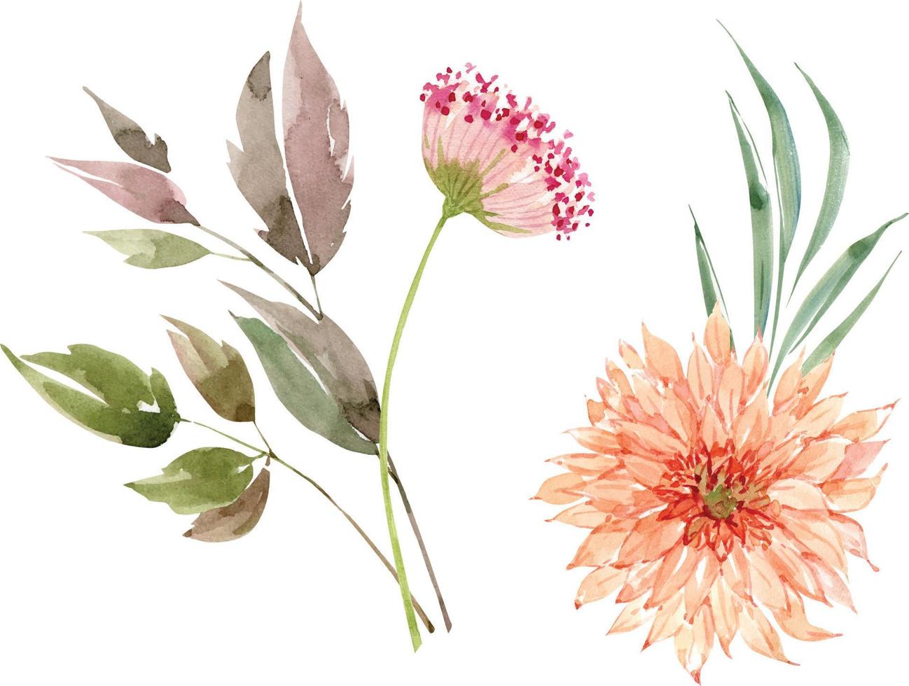 conjunto de ilustrações em aquarela de flores e plantas cor de rosa. vetor