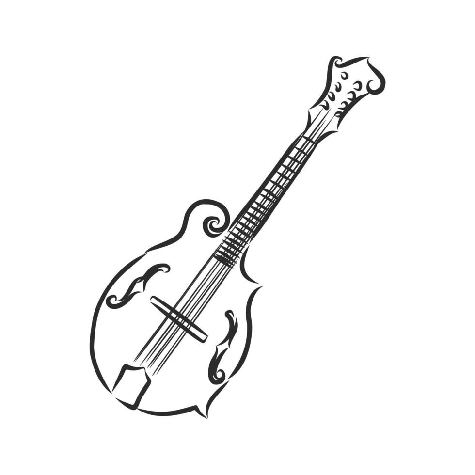 desenho vetorial de banjo vetor