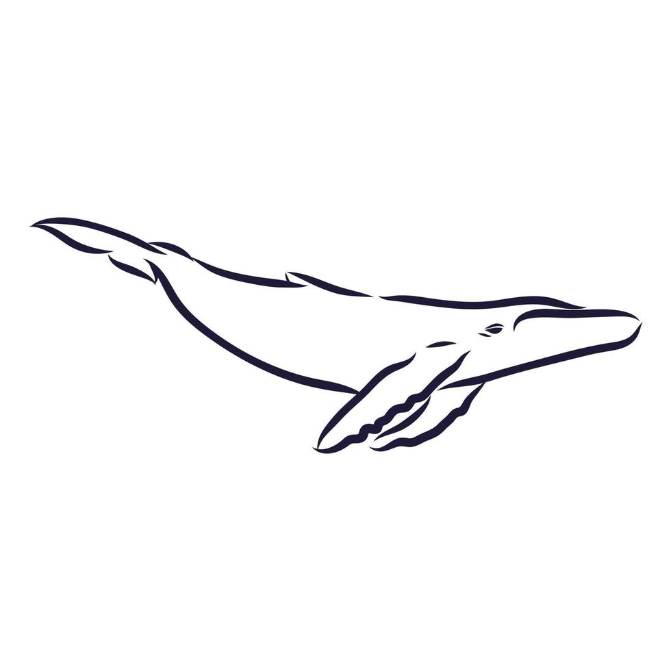 desenho vetorial de baleia azul vetor