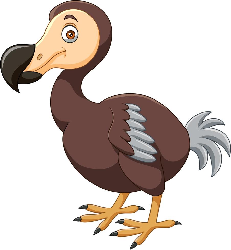 pássaro dodô de desenho animado em fundo branco vetor