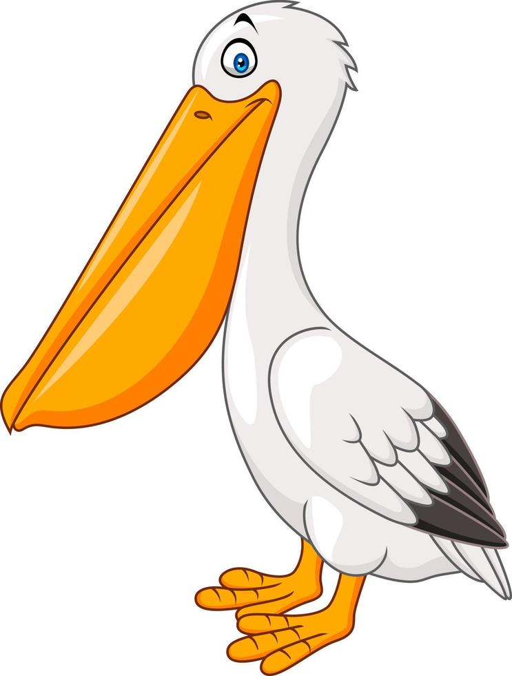 pelicano dos desenhos animados isolado no fundo branco vetor