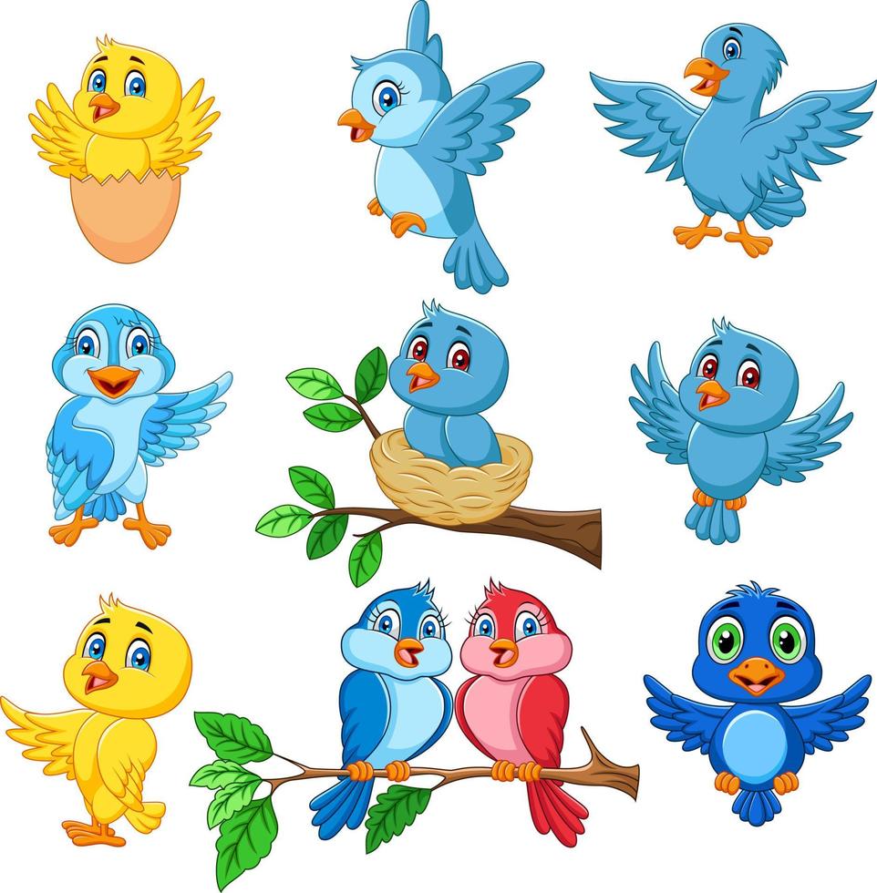 conjunto de coleção de pássaros felizes dos desenhos animados vetor