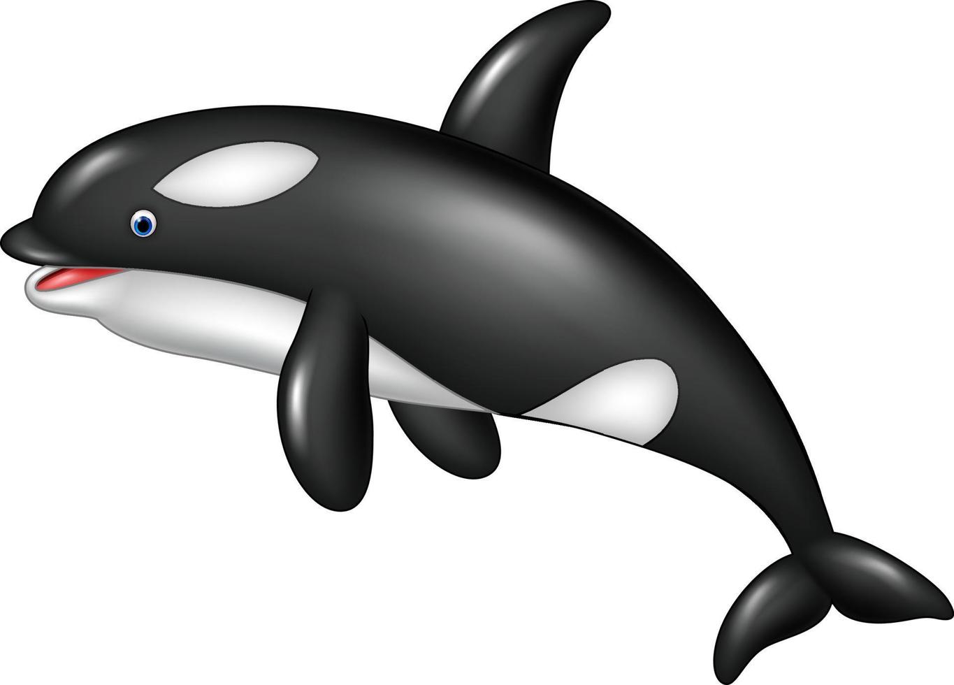 orca dos desenhos animados isolada no fundo branco vetor