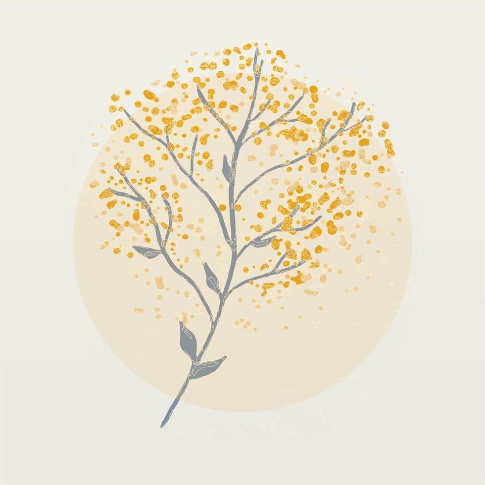 ilustração em aquarela de flor mimosa isolada no fundo branco vetor