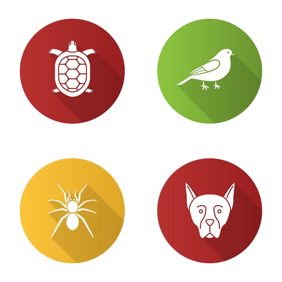 animais de estimação design plano longa sombra conjunto de ícones de glifo. tartaruga, canário, aranha, doberman pinscher. ilustração em vetor silhueta