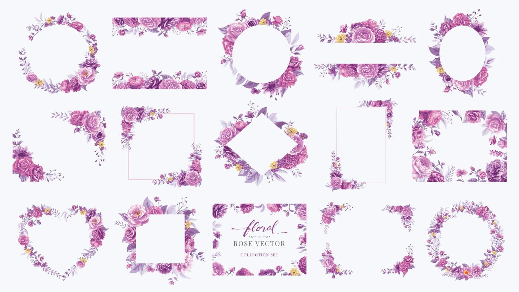 conjunto de coleção linda flor rosa e folha botânica ilustração digital pintada para amor casamento dia dos namorados ou arranjo convite design cartão de saudação vetor