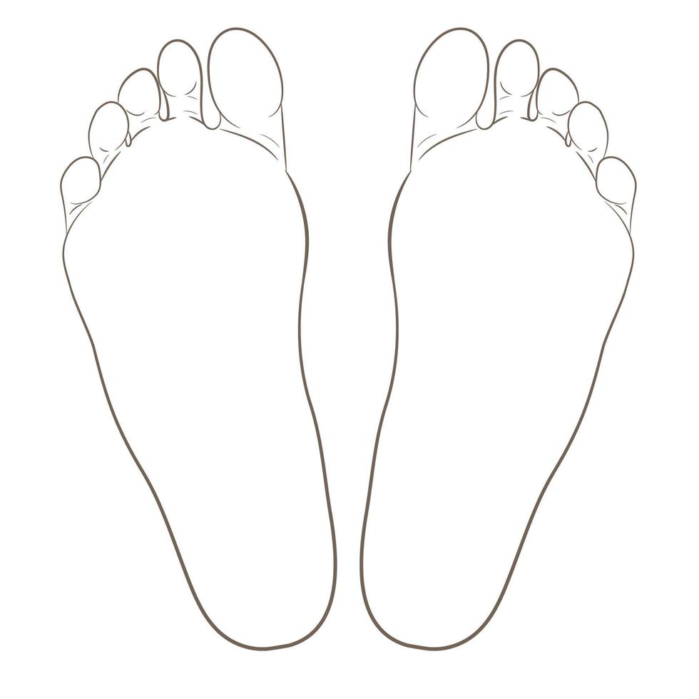 ilustração de contorno de solas do pé esquerdo e direito para biomecânica, calçados, conceitos de calçados, médicos, saúde, massagem, spa, centros de acupuntura. vetor